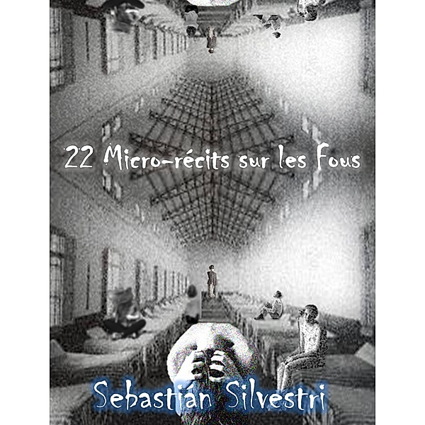 22 Micro-récits sur les Fous, Sebastian Silvestri
