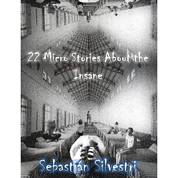 22 Micro Stories About the Insane, Sebastian Silvestri