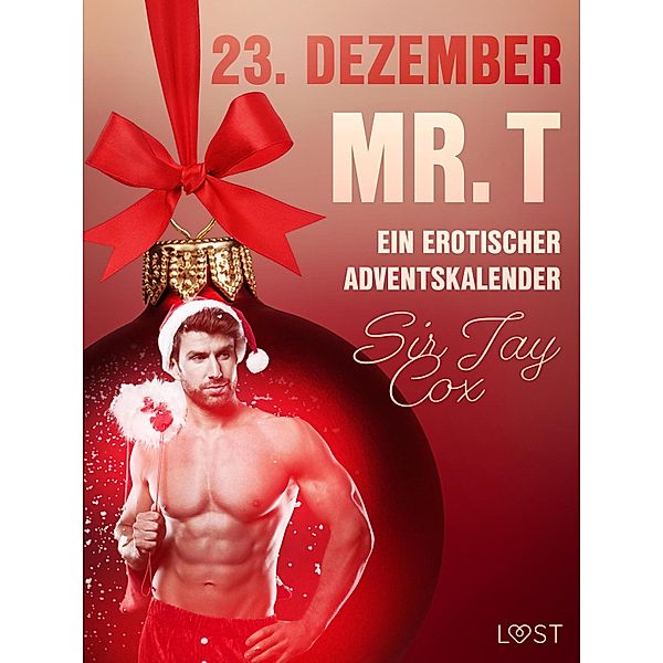 23. Dezember: Mr. T  - ein erotischer Adventskalender / Ein erotischer Adventskalender Bd.23, Jay Cox