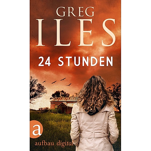 24 Stunden / Greg Iles Bestseller Thriller Bd.2, Greg Iles