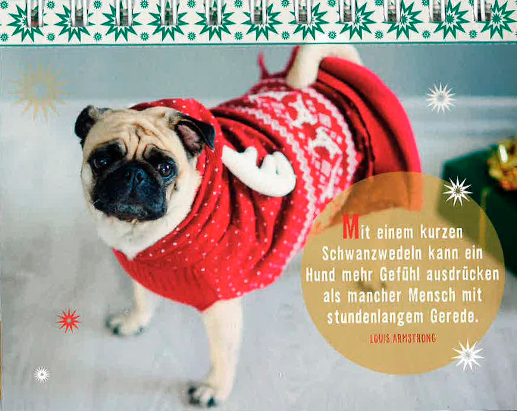24 Weihnachtsgrüsse für Hundefreunde Buch jetzt online bei Weltbild.ch  bestellen