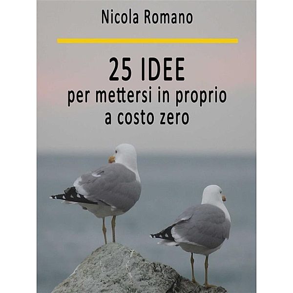 25 idee per mettersi in proprio a costo zero, Nicola Romano