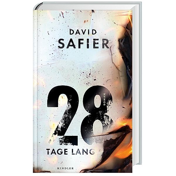 28 Tage lang, David Safier