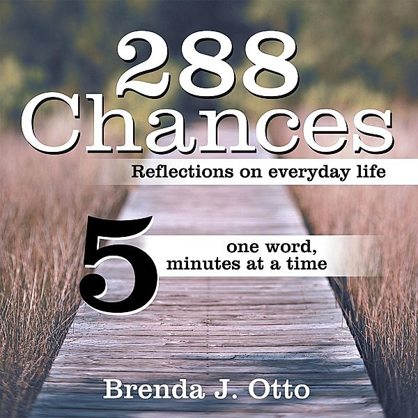 288 Chances, Brenda J. Otto