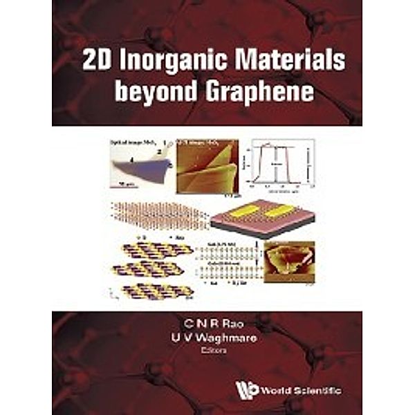 2D Inorganic Materials beyond Graphene