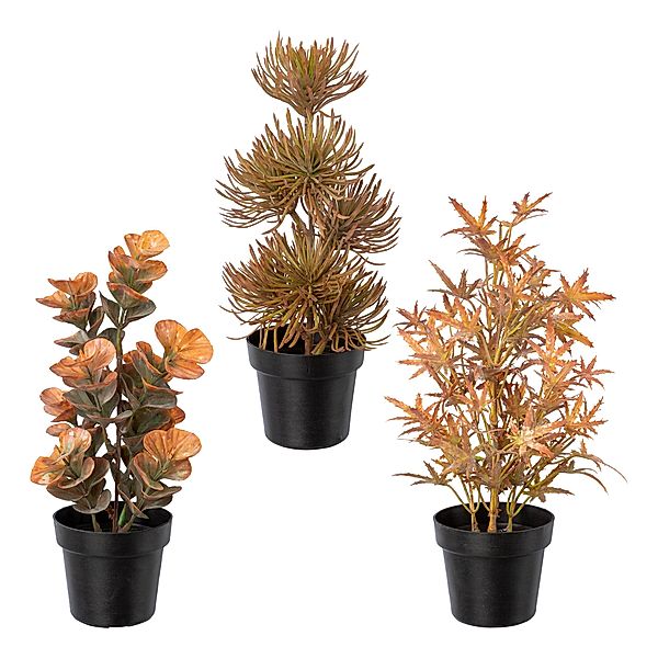 3 Kunststoffpflanzen in herbstbraun, im schwarzen Kunststofftopf, je 23-25 cm