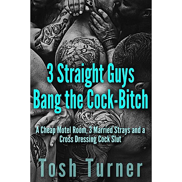 3 Straight Guys Bang the Cock-Bitch: A Cheap Motel Room, 3 Married Strays and a Cross Dressing Cock Slut, Tosh Turner