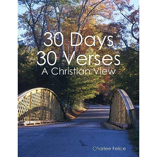 30 Days 30 Verses: A Christian View, Charlee Felice