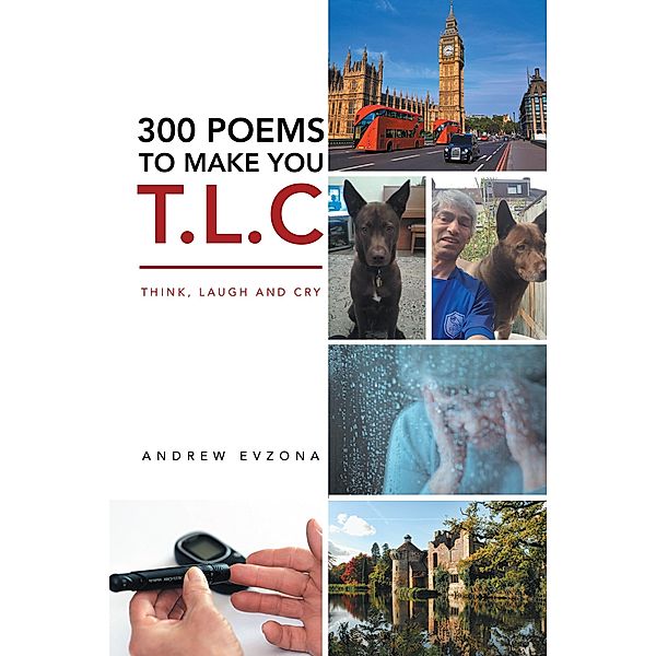 300 Poems to Make You T.L.C, Andrew Evzona