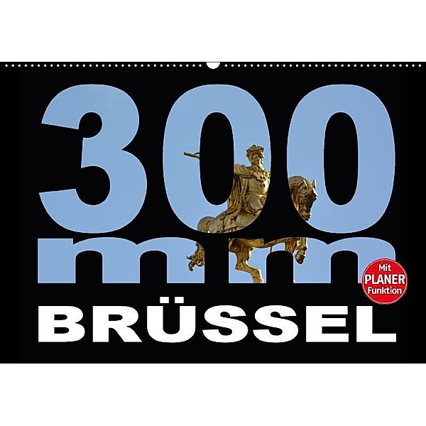 300mm - Brüssel (Wandkalender 2017 DIN A2 quer), Thomas Bartruff