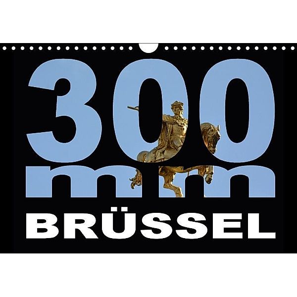 300mm - Brüssel (Wandkalender 2017 DIN A4 quer), Thomas Bartruff