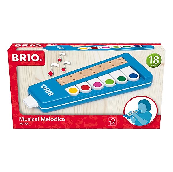 30183 BRIO Kinder Melodica - Spielzeuginstrument für Kleinkinder ab 18 Monate