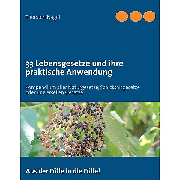 33 Lebensgesetze und ihre praktische Anwendung, Thorsten Nagel