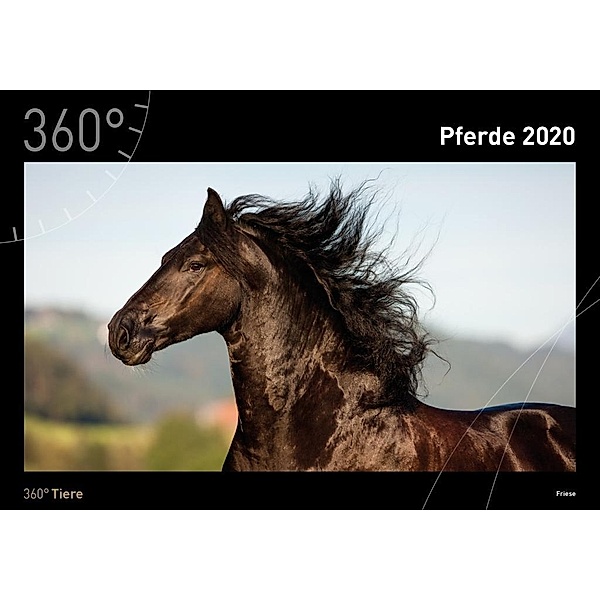 360° Pferde 2020
