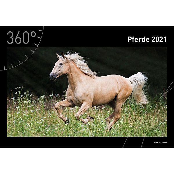 360° Pferde Premiumkalender 2021