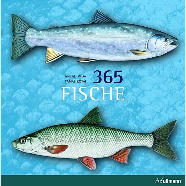 365 Fische, Antal Vida