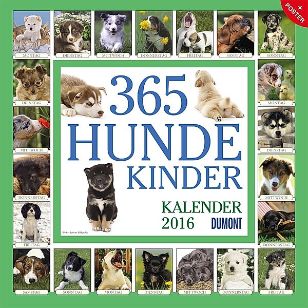 365 Hundekinder 2016