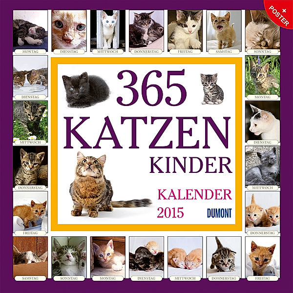 365 Katzenkinder - Kalender 2015