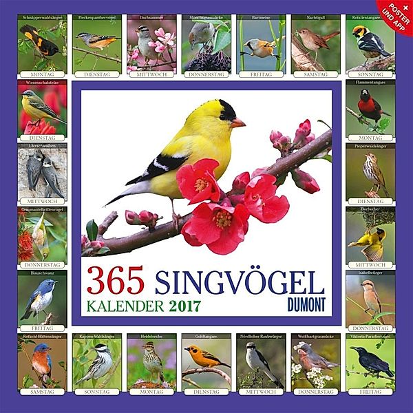 365 Singvögel 2017