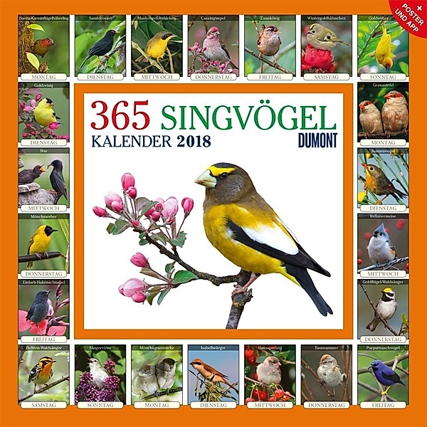 365 Singvögel 2018