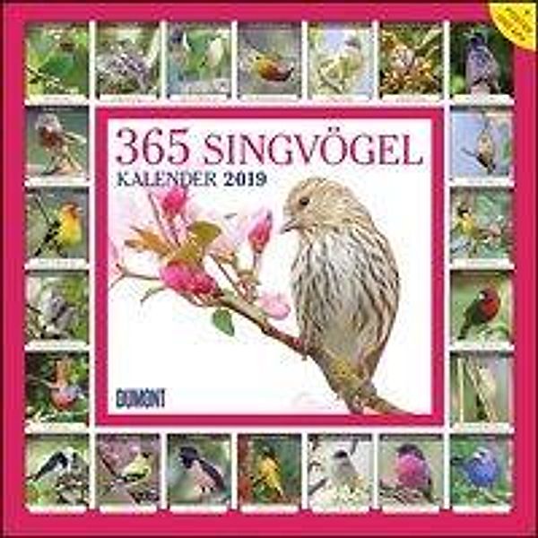 365 Singvögel 2019