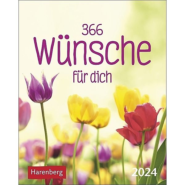 365 Wünsche für dich Mini-Geschenkkalender 2024. Ein kleiner Kalender mit vielen guten Wünschen! Mini-Jahreskalender mit täglichen positiven Gedanken, Cornelia Sonnleitner