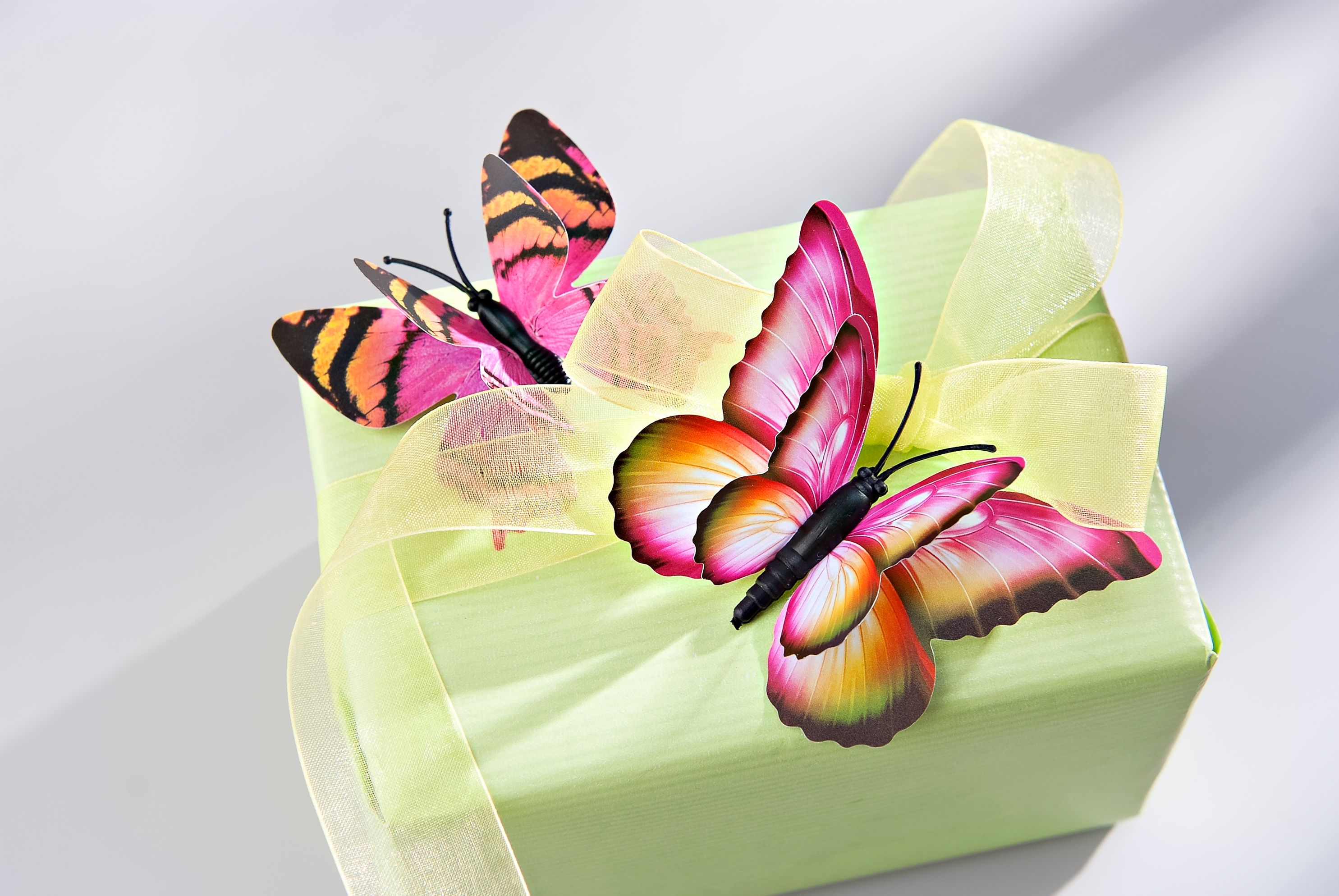 3D-Deko-Schmetterlinge, 24-teilig jetzt bei Weltbild.de bestellen