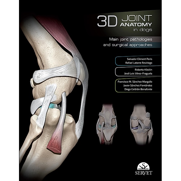 3D Joint anatomy in dogs, Salvador Climent, Rafael Latorre, Roberto Köstlin