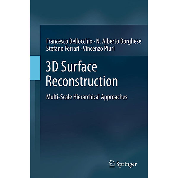 3D Surface Reconstruction, Francesco Bellocchio, N. Alberto Borghese, Stefano Ferrari, Vincenzo Piuri