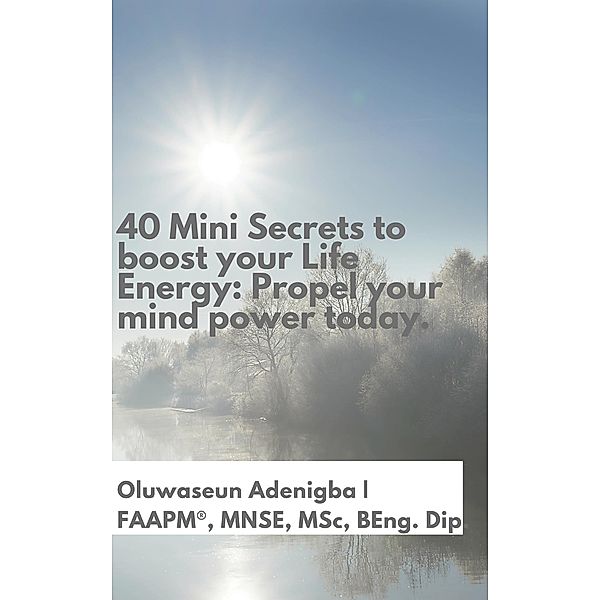 40 Mini Secrets to boost your Life Energy: Propel your mind power today., Oluwaseun Adenigba