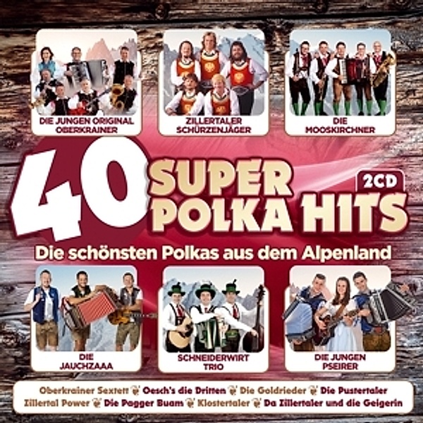 40 Super Polka Hits-Instr.-Aus Dem Alpenland, Diverse Interpreten