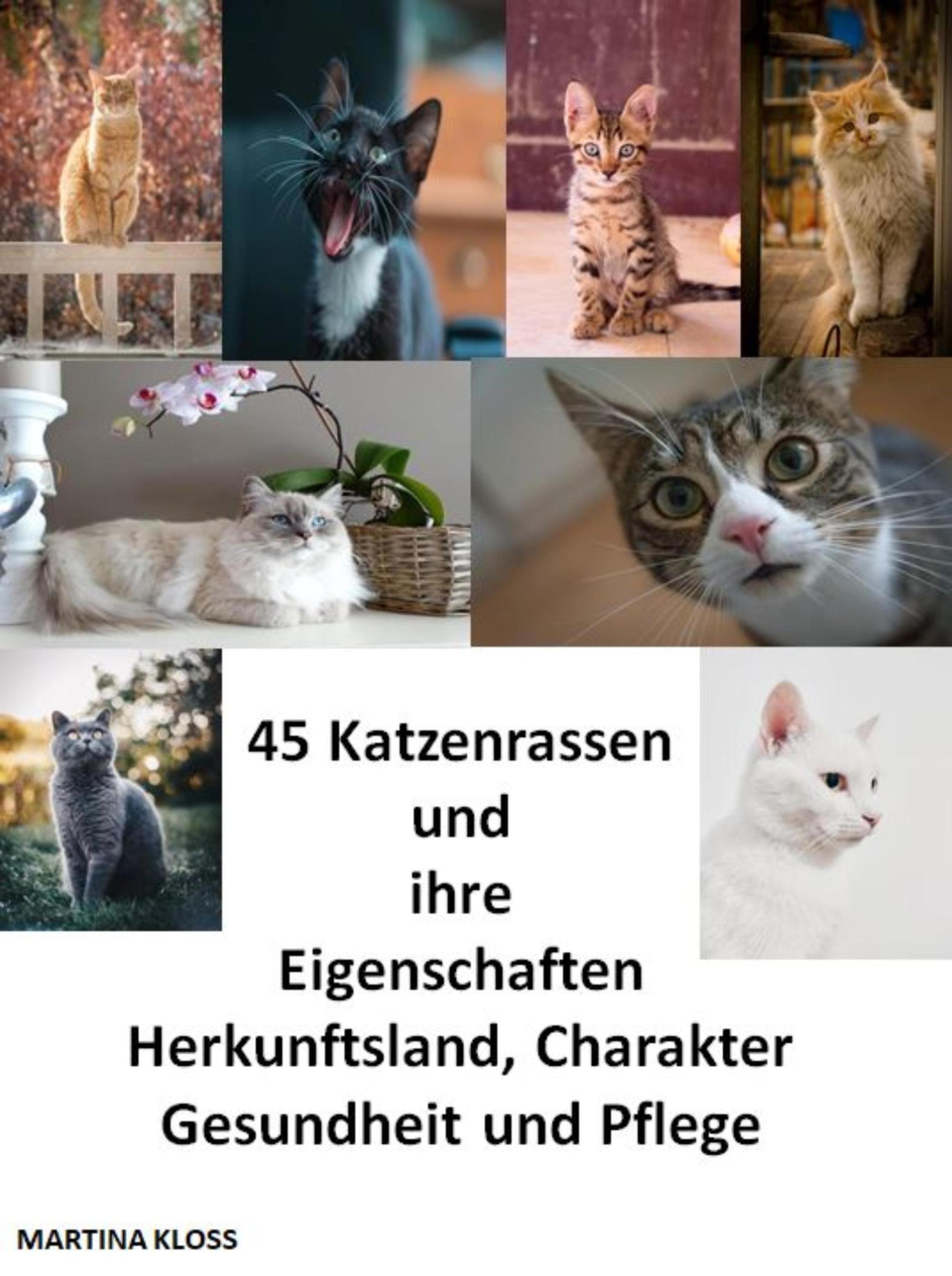 45 Katzenrassen und ihre Eigenschaften, Herkunftsland, Charakter,  Gesundheit und Pflege eBook v. Martina Kloss | Weltbild