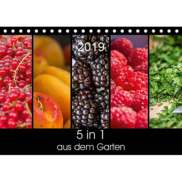 5 in 1 - aus dem Garten (Tischkalender 2019 DIN A5 quer), Petra Neuner-Gyß