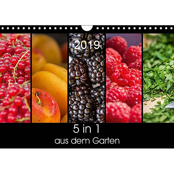 5 in 1 - aus dem Garten (Wandkalender 2019 DIN A4 quer), Petra Neuner-Gyß