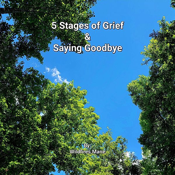 5 Stages of Grief & Saying Goodbye (The Perfect Love in my not so Perfect Life, #2) / The Perfect Love in my not so Perfect Life, Wildfires Mane