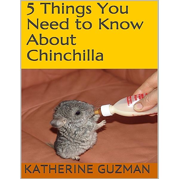 5 Things You Need to Know About Chinchilla, Katherine Guzman