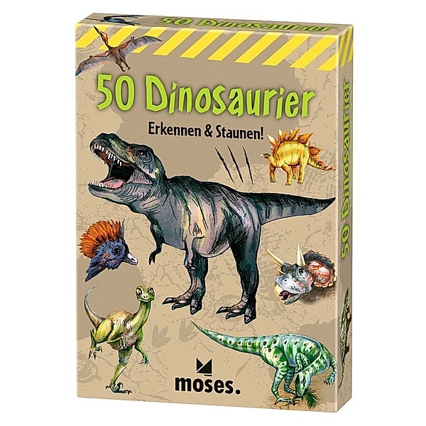 50 Dinosaurier, Carola von Kessel