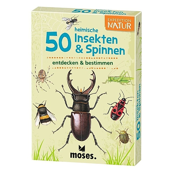 moses Verlag 50 heimische Insekten & Spinnen entdecken & bestimmen, 50 Ktn., Carola von Kessel, Thomas Müller