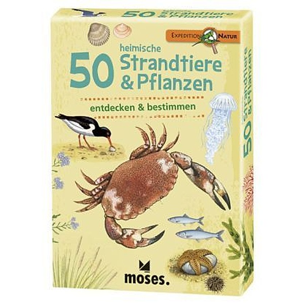 moses Verlag 50 heimische Strandtiere & Pflanzen entdecken & bestimmen, Carola von Kessel