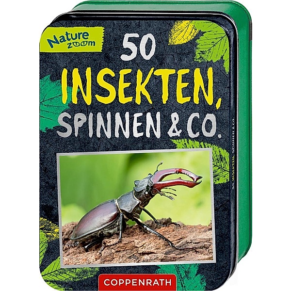 50 Insekten, Spinnen & Co., Holger Haag