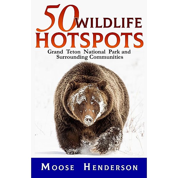 50 Wildlife Hotspots, Moose Henderson