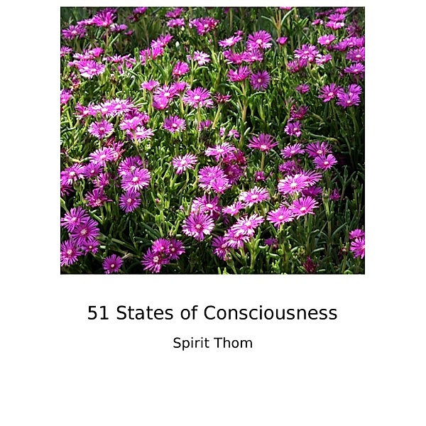 51 States of Consciousness, Spirit Thom