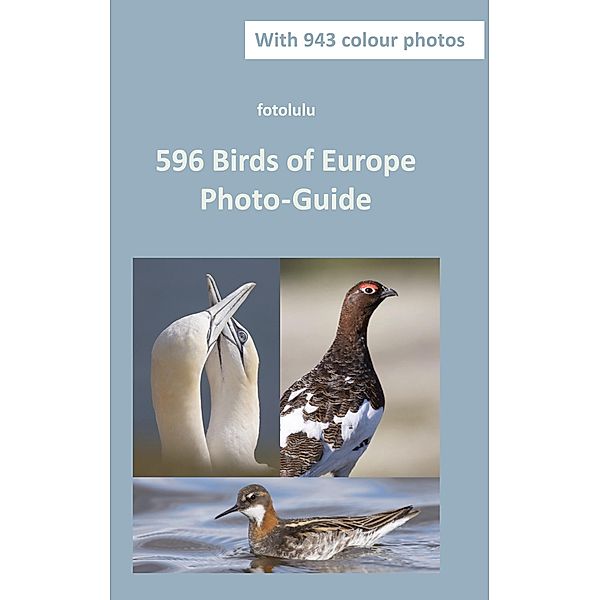 596 Birds of Europe, Fotolulu