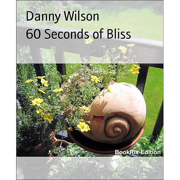 60 Seconds of Bliss, Danny Wilson