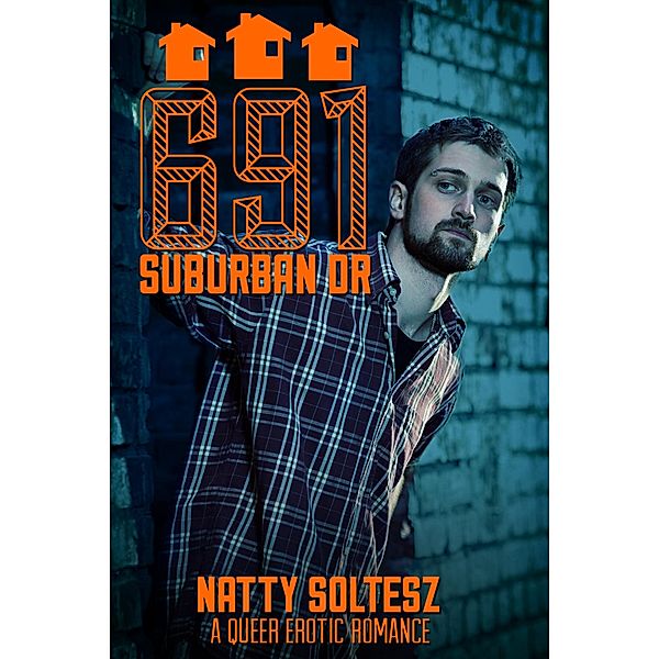 691 Suburban Dr (The College St Series, #2) / The College St Series, Natty Soltesz