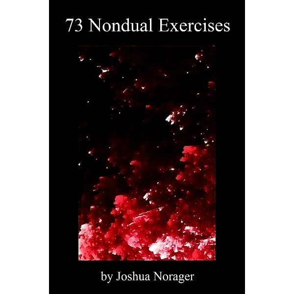 73 Nondual Exercises, Joshua Norager