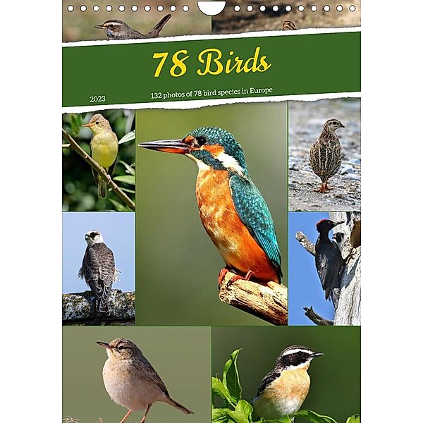 78 Birds (Wall Calendar 2023 DIN A4 Portrait), Leo Bucher