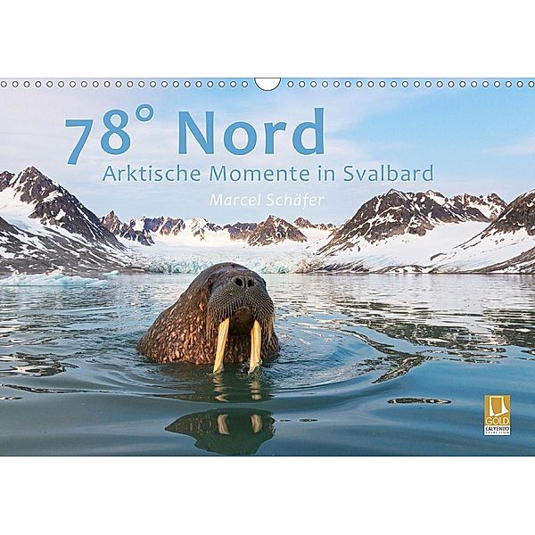 78° Nord - Arktische Momente in Svalbard (Wandkalender 2021 DIN A3 quer), Marcel Schäfer