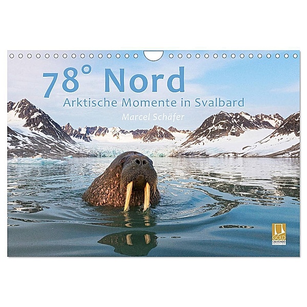 78° Nord - Arktische Momente in Svalbard (Wandkalender 2024 DIN A4 quer), CALVENDO Monatskalender, Marcel Schäfer