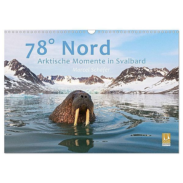 78° Nord - Arktische Momente in Svalbard (Wandkalender 2024 DIN A3 quer), CALVENDO Monatskalender, Marcel Schäfer